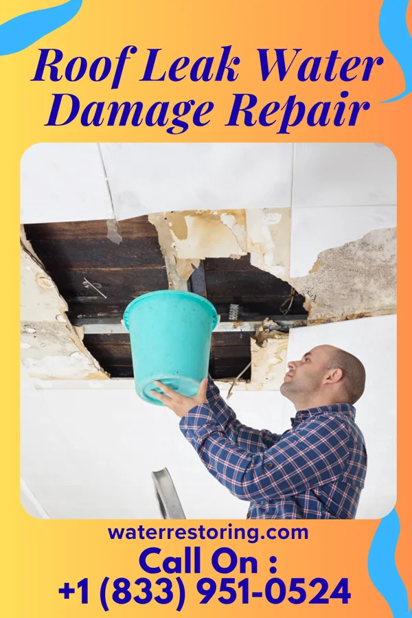 Roof Leak Water Damage Repair in Harrison, NE